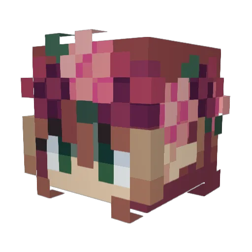 hamdog1121 Minecraft avatar head, 3D render