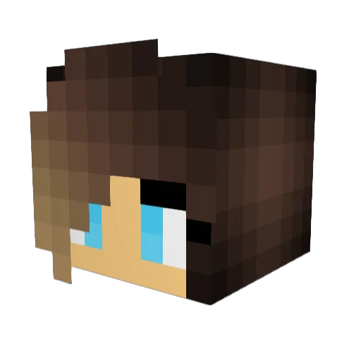 hamheadwhale Minecraft avatar head, 3D render