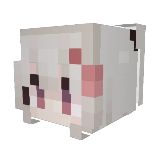 hamkey1012 Minecraft avatar head, 3D render