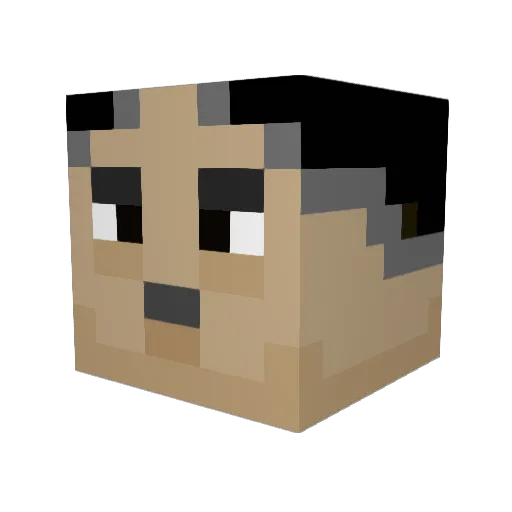 hammerlock Minecraft avatar head, 3D render