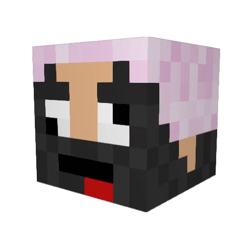 hammerman61009 Minecraft avatar head, 3D render