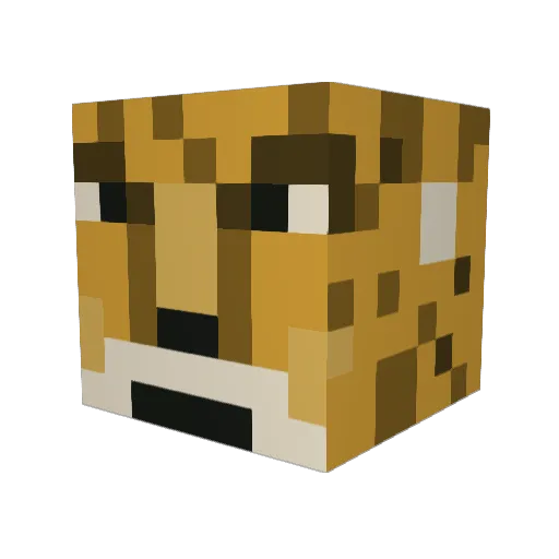 hammydannyy Minecraft avatar head, 3D render