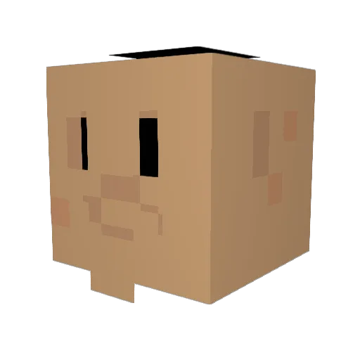 hamoodnc Minecraft avatar head, 3D render