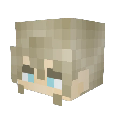 hamp_ter Minecraft avatar head, 3D render