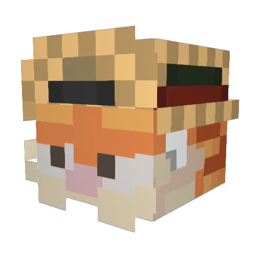 hampocraft1 Minecraft avatar head, 3D render