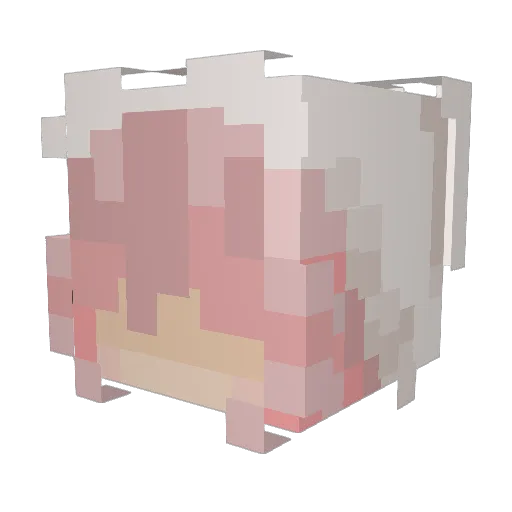 hampsterluvr Minecraft avatar head, 3D render