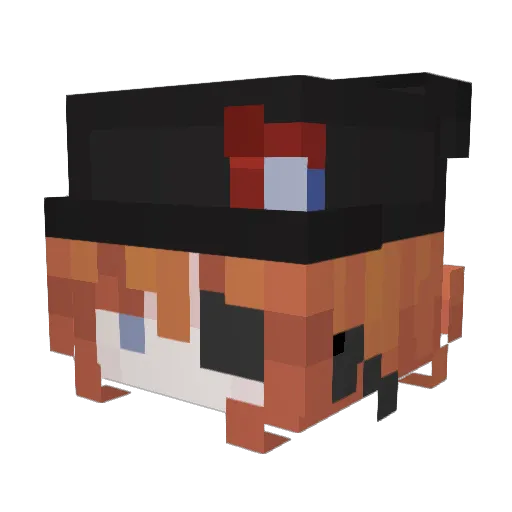 hamptr_ Minecraft avatar head, 3D render