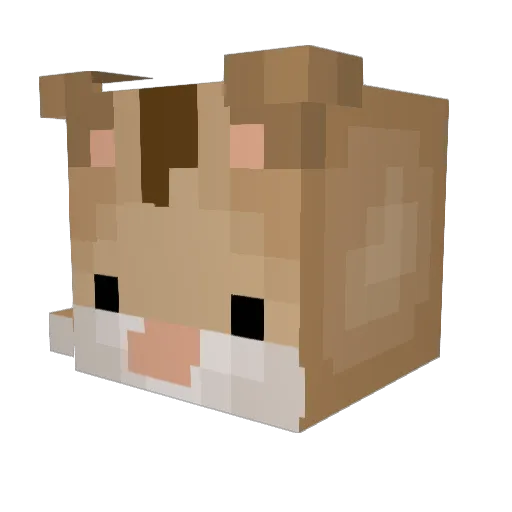 hamsape Minecraft avatar head, 3D render