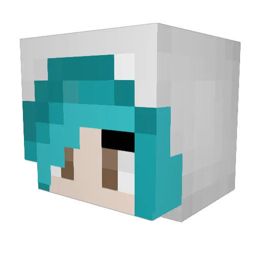 hamster_jelly100 Minecraft avatar head, 3D render