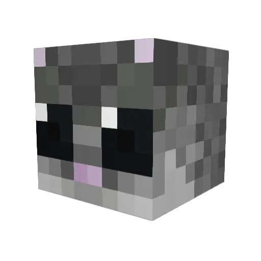 hamsterboii Minecraft avatar head, 3D render