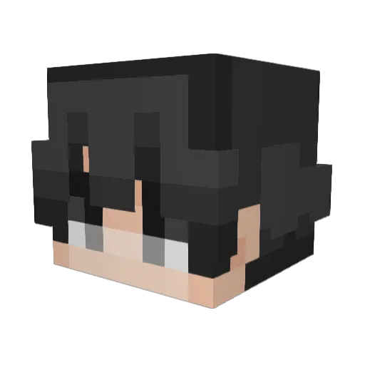 hamsterking67 Minecraft avatar head, 3D render