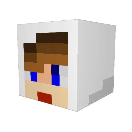 hamsters10 Minecraft avatar head, 3D render