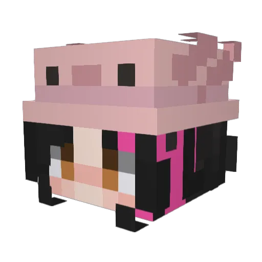 hamstringy Minecraft avatar head, 3D render