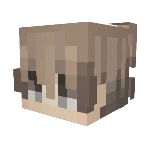 hamzaherooooo Minecraft avatar head, 3D render