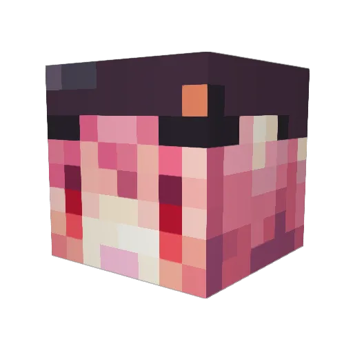hana1210 Minecraft avatar head, 3D render