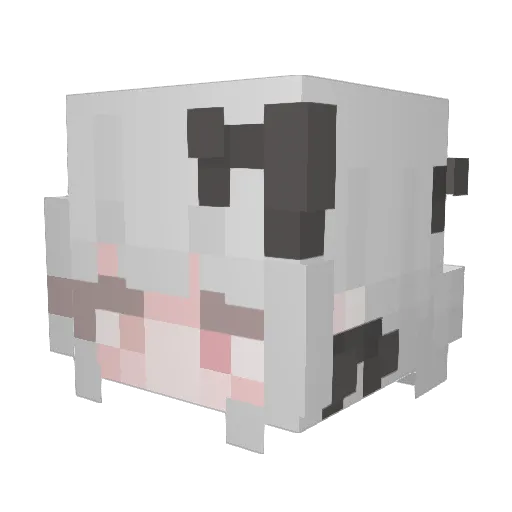 hanak0728 Minecraft avatar head, 3D render