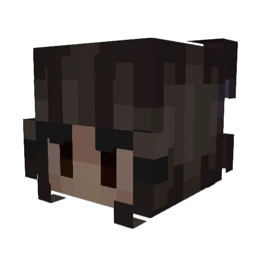 hanastronout Minecraft avatar head, 3D render