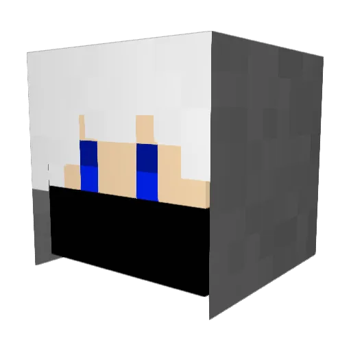 hanatasa Minecraft avatar head, 3D render