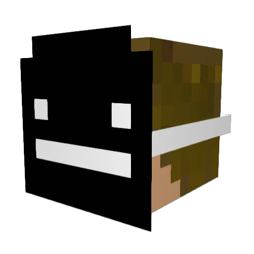 handsome221 Minecraft avatar head, 3D render