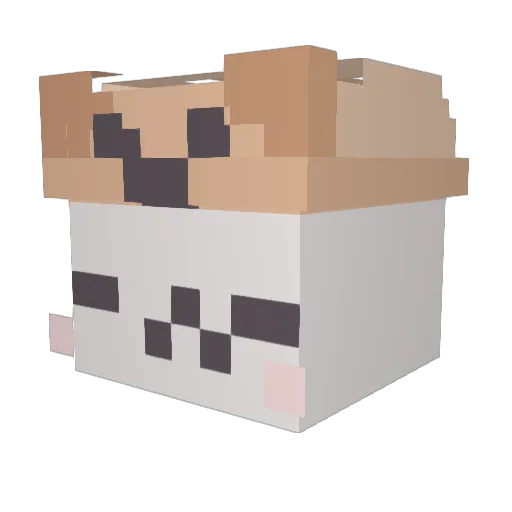 handsomeDuck12 Minecraft avatar head, 3D render