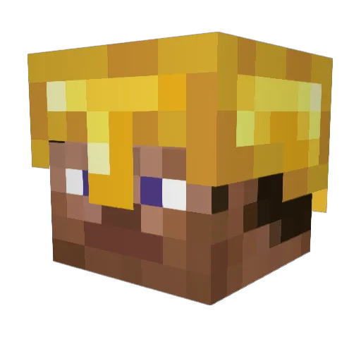 handsomeguys1 Minecraft avatar head, 3D render