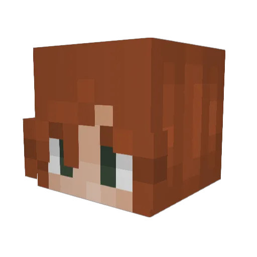 handsomenapkin Minecraft avatar head, 3D render