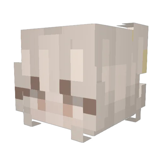 hangal24 Minecraft avatar head, 3D render