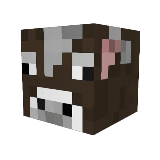 hangyu2002 Minecraft avatar head, 3D render
