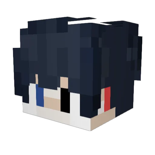 hani1105 Minecraft avatar head, 3D render