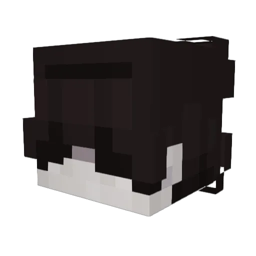 hanihei Minecraft avatar head, 3D render