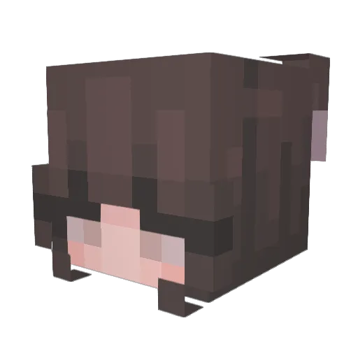 haniniii Minecraft avatar head, 3D render