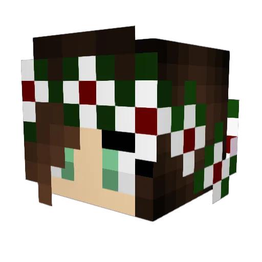 haninipanini Minecraft avatar head, 3D render
