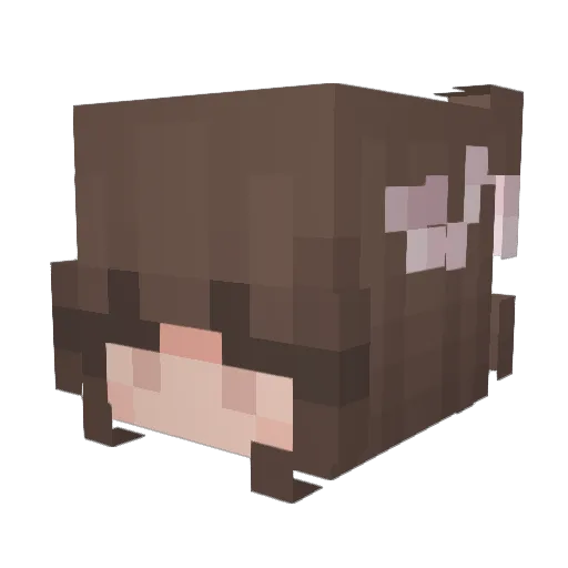 haninkaxoxo Minecraft avatar head, 3D render