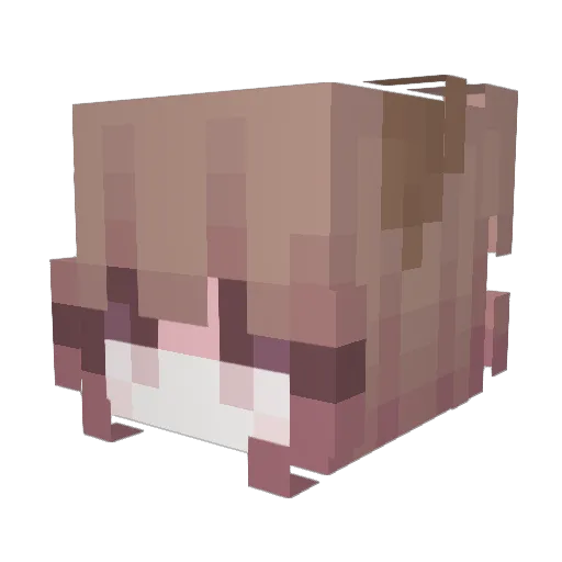 hanixlem_ Minecraft avatar head, 3D render