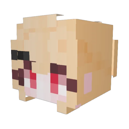 hanjo1017 Minecraft avatar head, 3D render