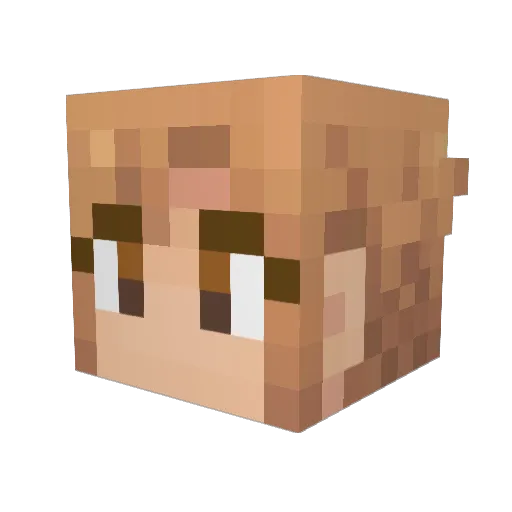 hank0221 Minecraft avatar head, 3D render