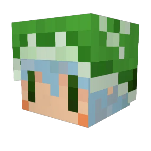 hank1353 Minecraft avatar head, 3D render