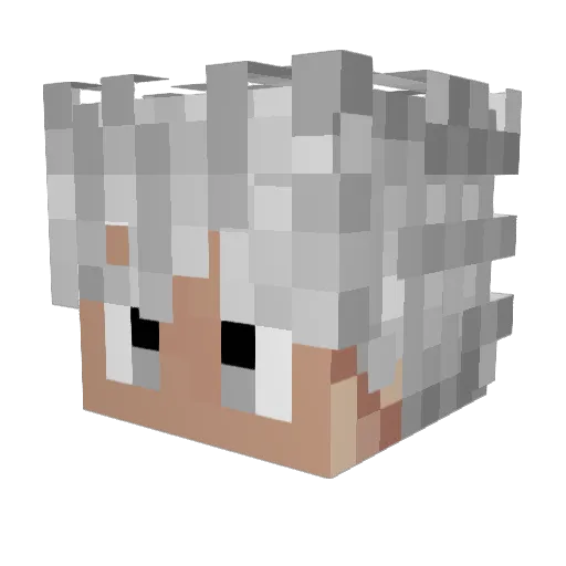 hank_18 Minecraft avatar head, 3D render