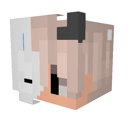 hankgostosaoo_ Minecraft avatar head, 3D render