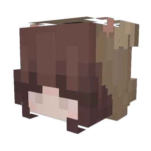 hankimbap Minecraft avatar head, 3D render