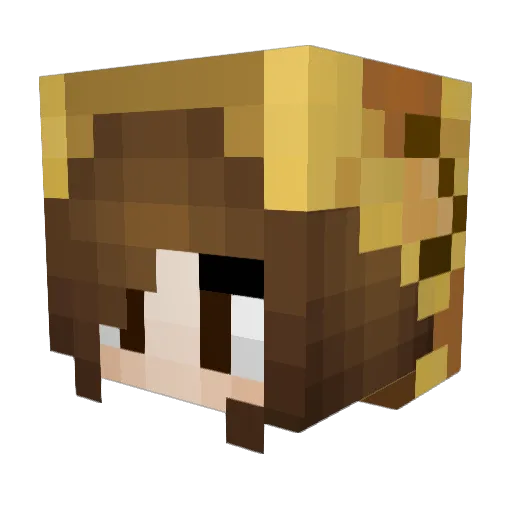 hannah248 Minecraft avatar head, 3D render