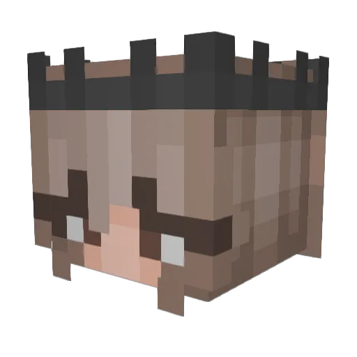 hannah2542 Minecraft avatar head, 3D render