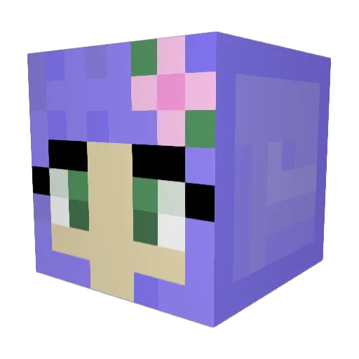 hannahbaer Minecraft avatar head, 3D render