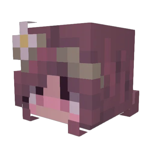 hannahelle Minecraft avatar head, 3D render