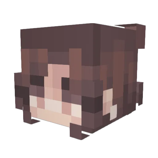 hannahg9441 Minecraft avatar head, 3D render