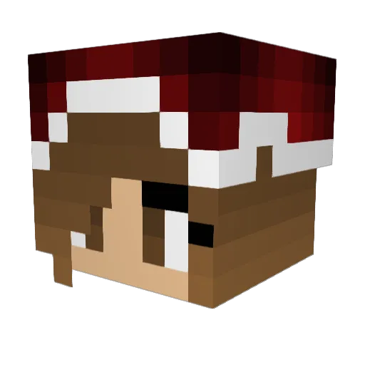 hannahhtaylorrr Minecraft avatar head, 3D render