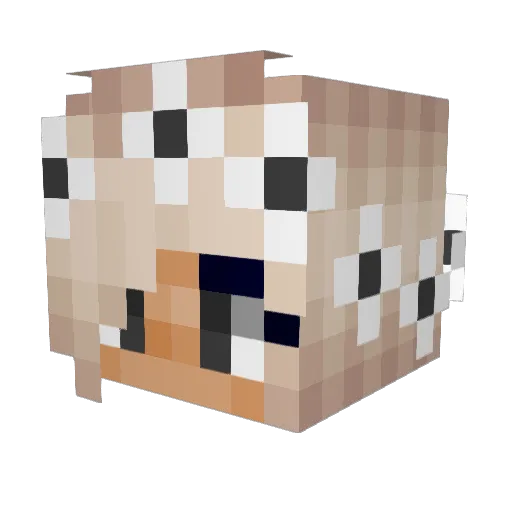 hannahiraymond Minecraft avatar head, 3D render