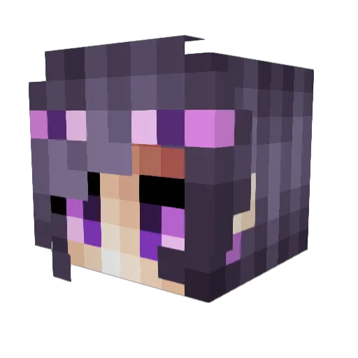 hannahnanapoo Minecraft avatar head, 3D render