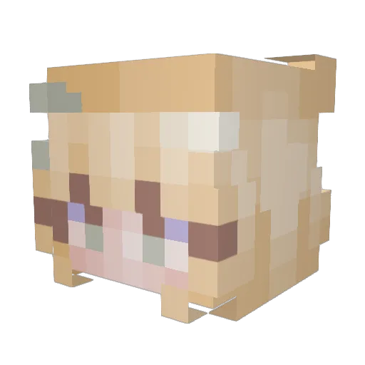hannahone23 Minecraft avatar head, 3D render
