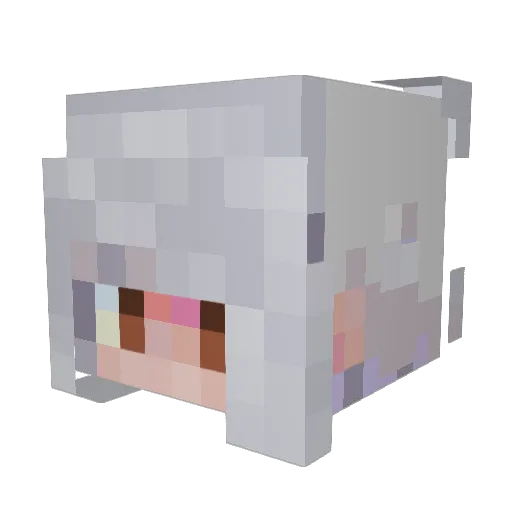 hannasdckitten Minecraft avatar head, 3D render